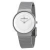Skagen SKW2075 Klassic Ladies Stainless Steel Round Watch