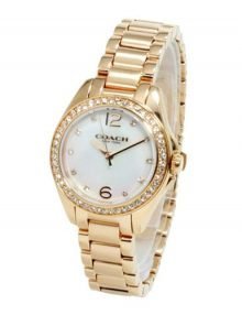 Coach 14502104 Tristen Ladies Stainless Steel Gold Round Watch