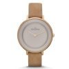Skagen SKW2215 Ditte Ladies Gold Plated Stainless Steel Round Watch